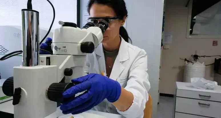 La fisica studia l’evoluzione dei tumori: a Trento il progetto Sentinel