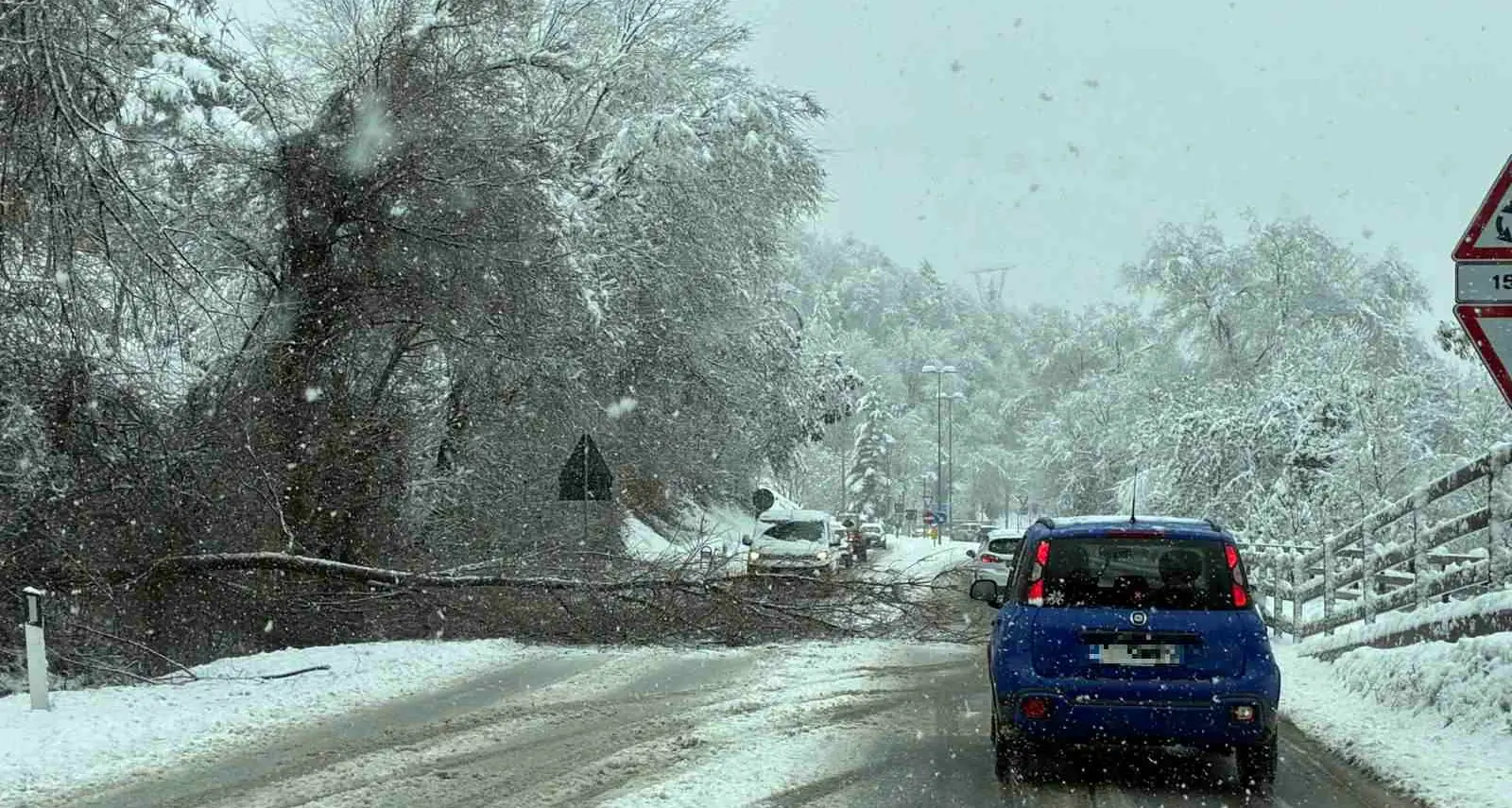Disagi per neve: albero cade sulla strada a San Donà, camion bloccato a Mas dei Chini