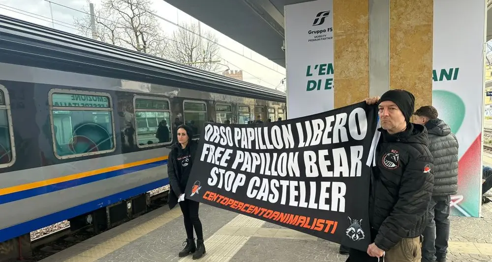 Orso Papillon, striscioni animalisti in stazione e in Provincia