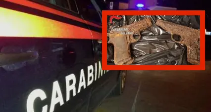 Caldaro, “sorpresa” alla Giornata ecologica: i volontari trovano due pistole nel bosco