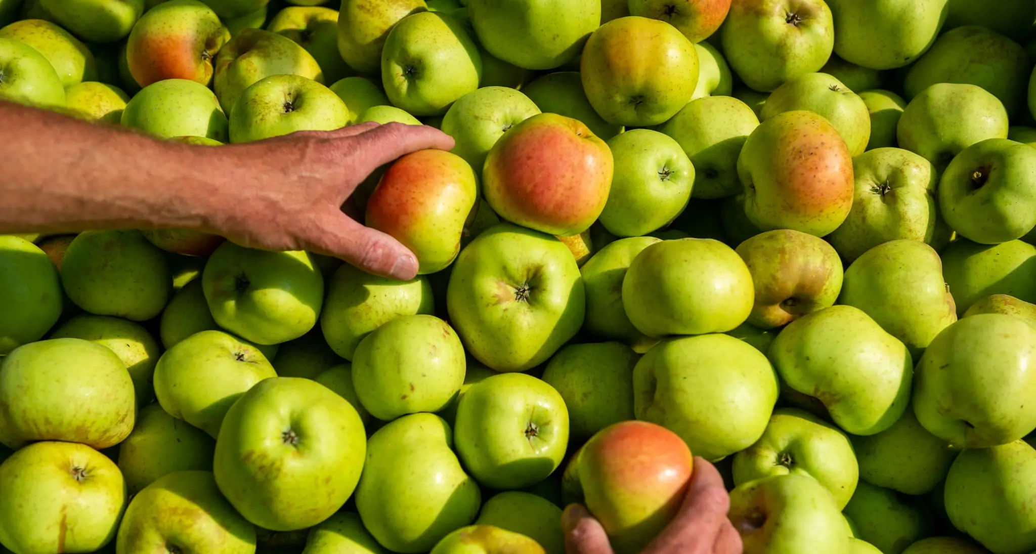 Melinda investe 8 milioni per produrre più succhi e snack