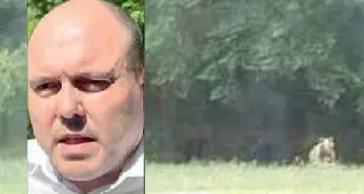 Orsi sul Bondone, il presidente della Circoscrizione avvisa: \"Avvistamenti frequenti, serve prudenza\"