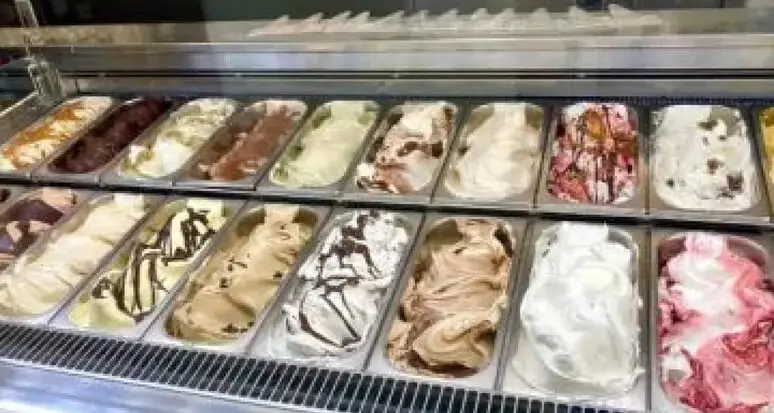 Ragazzo morto dopo aver mangiato un gelato: i pediatri chiedono una giornata sull’anafilassi