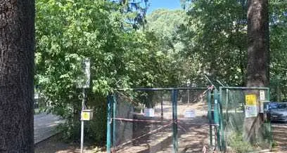 Area cani di piazza Venezia chiusa temporaneamente per la presenza di pulcini di corvo