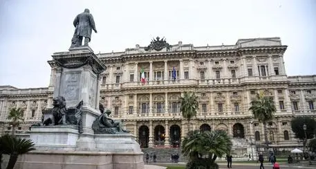 Volontario chiede 1.600 euro alla Onlus per il logo e il sito: la Cassazione respinge il ricorso