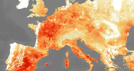 Emergenza caldo, l'Oms lancia l'allarme: «In Europa è un problema sanitario»