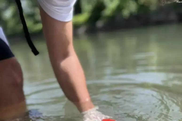 Legambiente: \"Due punti del lago di Levico fortemente inquinati, ma niente allarmismi\"