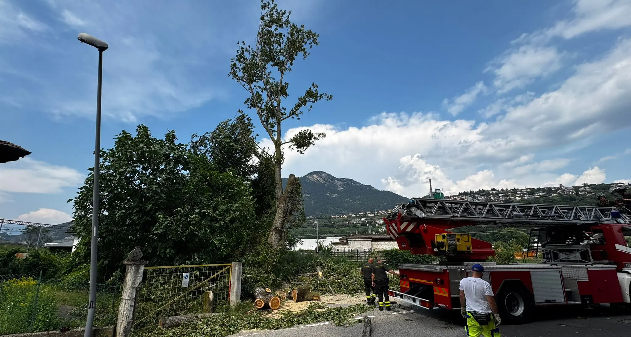 Una pianta crolla in via Lavisotto: danneggiati un cancello e un lampione