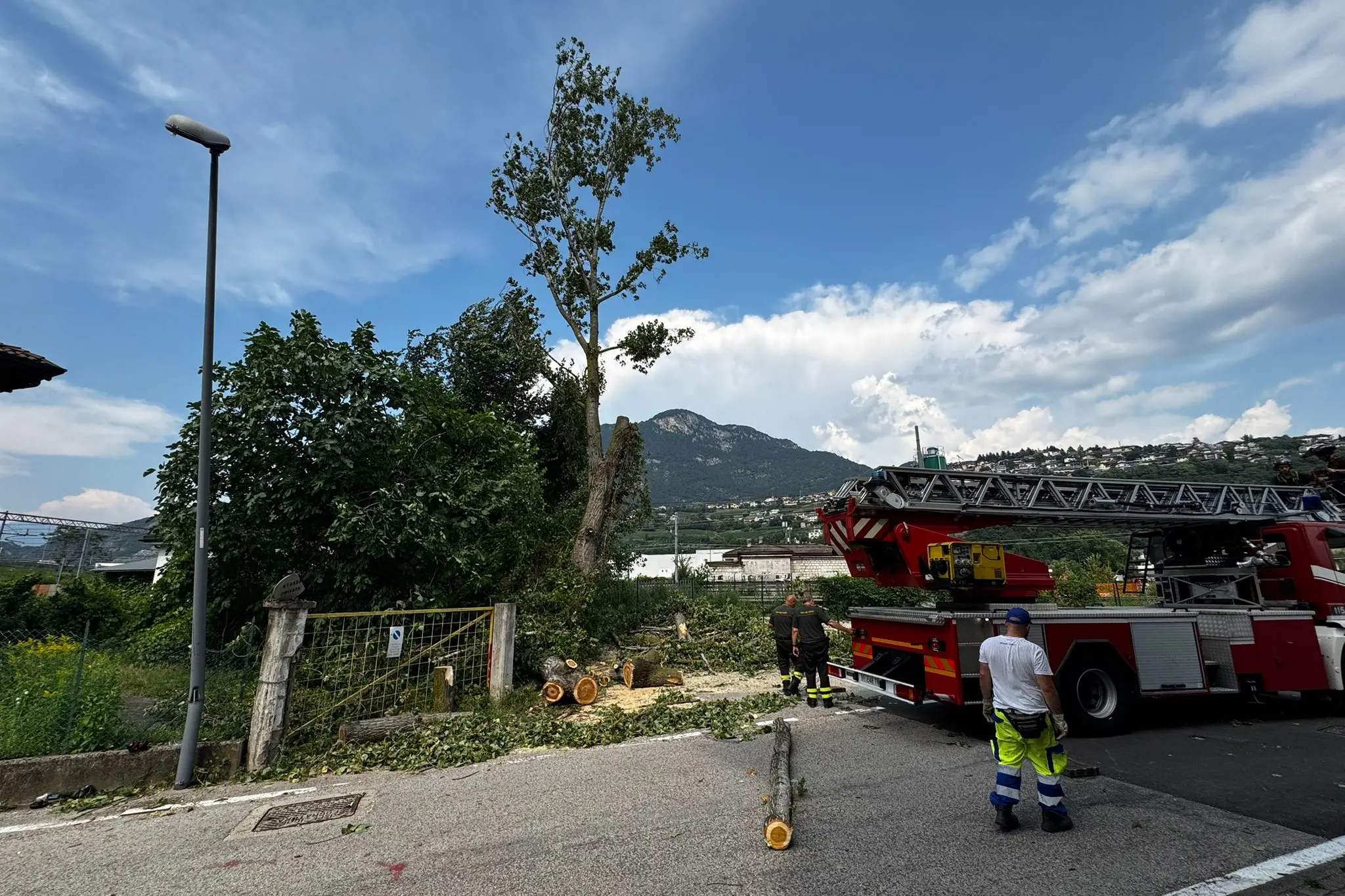 Una pianta crolla in via Lavisotto: danneggiati un cancello e un lampione