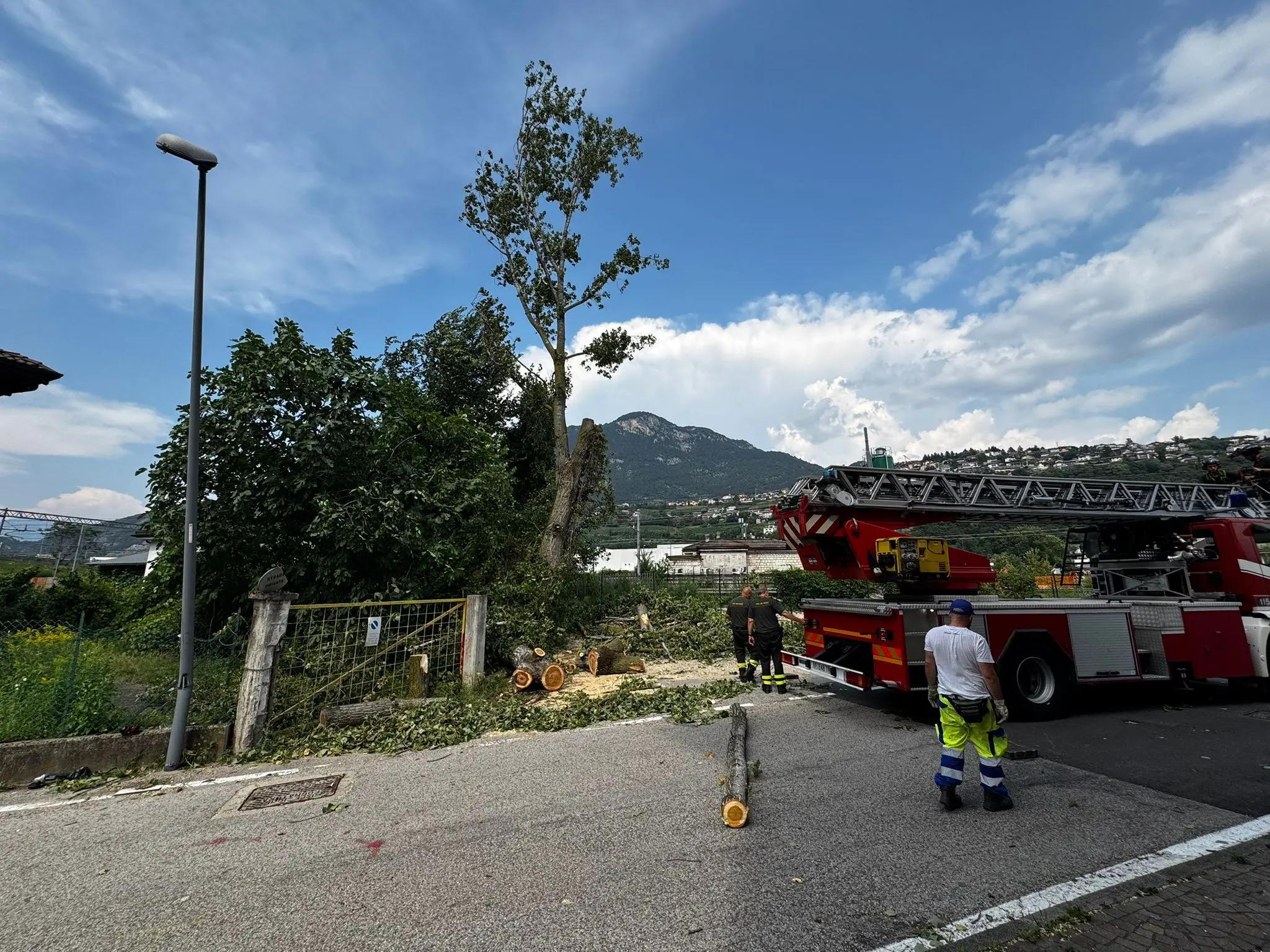 Una pianta crolla in via Lavisotto: danneggiati un cancello e un lampione