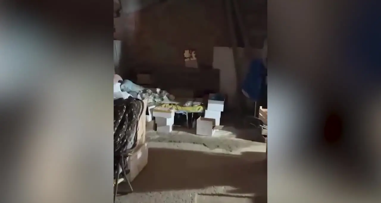 Ortaggi coltivati vicino a un'ex discarica, sequestrati orti insalubri a Prato