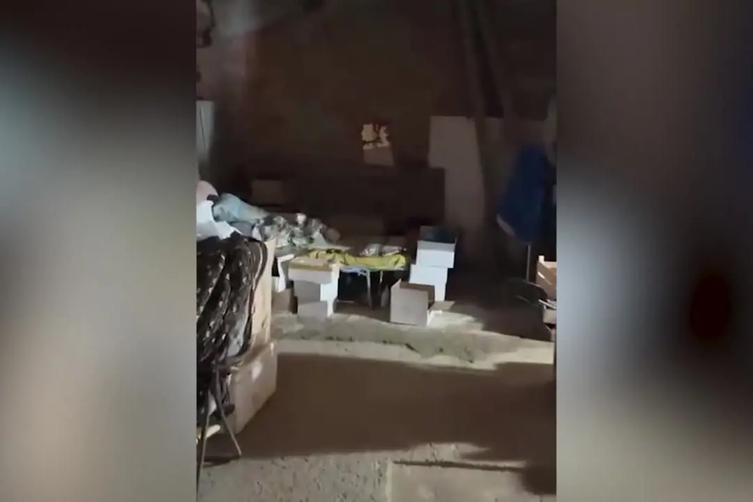 Ortaggi coltivati vicino a un'ex discarica, sequestrati orti insalubri a Prato