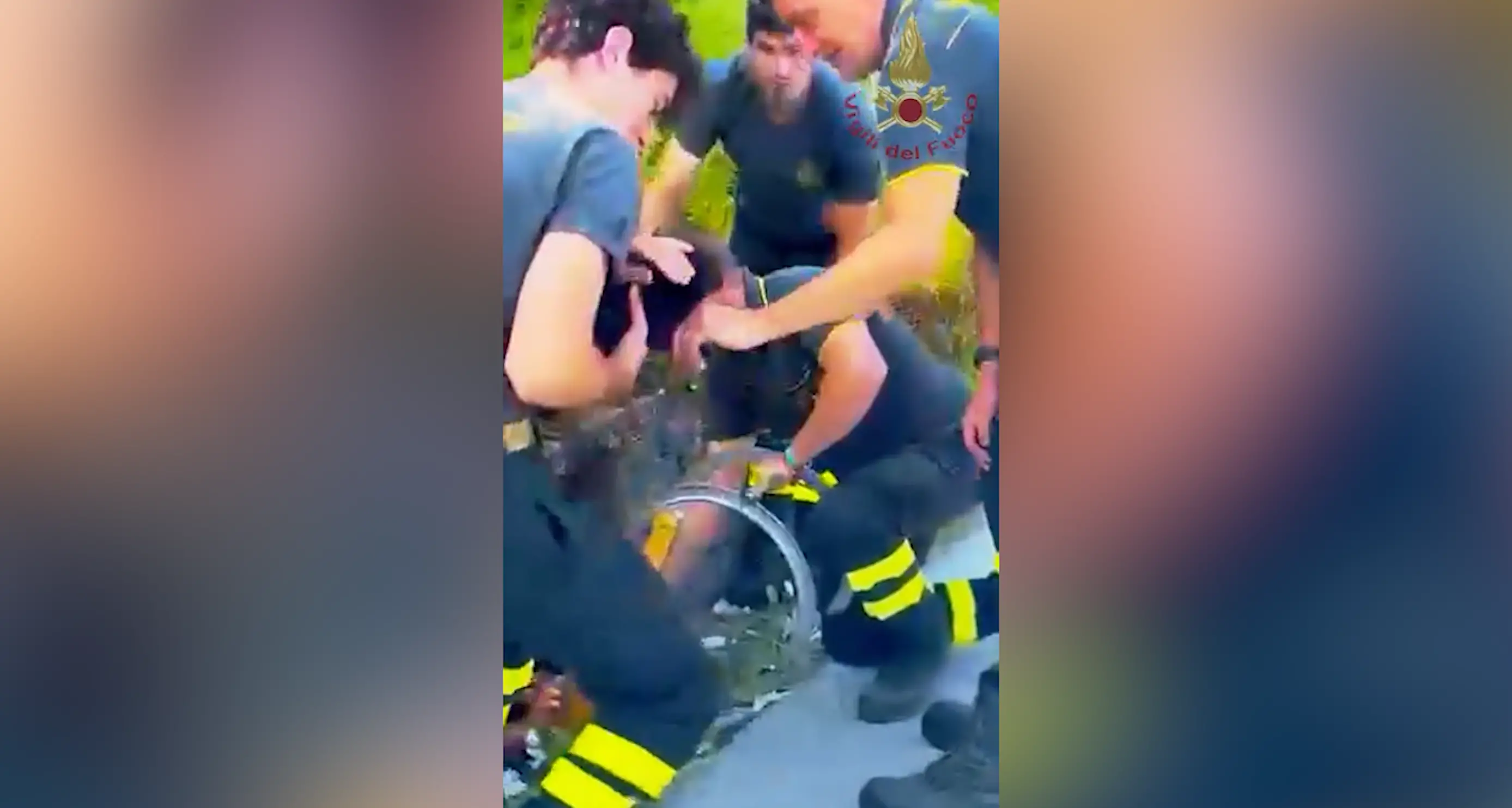 Cuccioli di cane abbandonati, uno cade in un pozzetto: salvati dai Vigili del fuoco