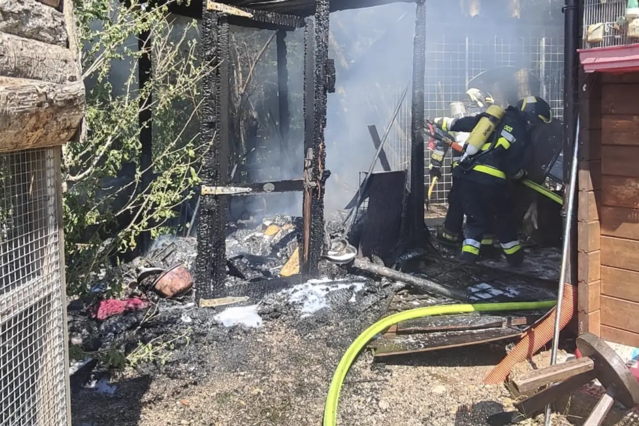 Baselga del Bondone, allarme in un'azienda agricola: in fiamme una tettoia