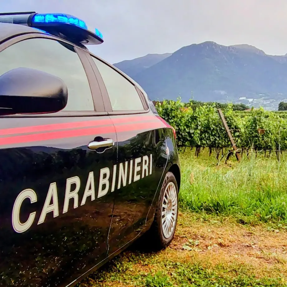 Caporalato in Trentino, i braccianti che denunciarono Suleman: «Aggrediti e poi senza lavoro»