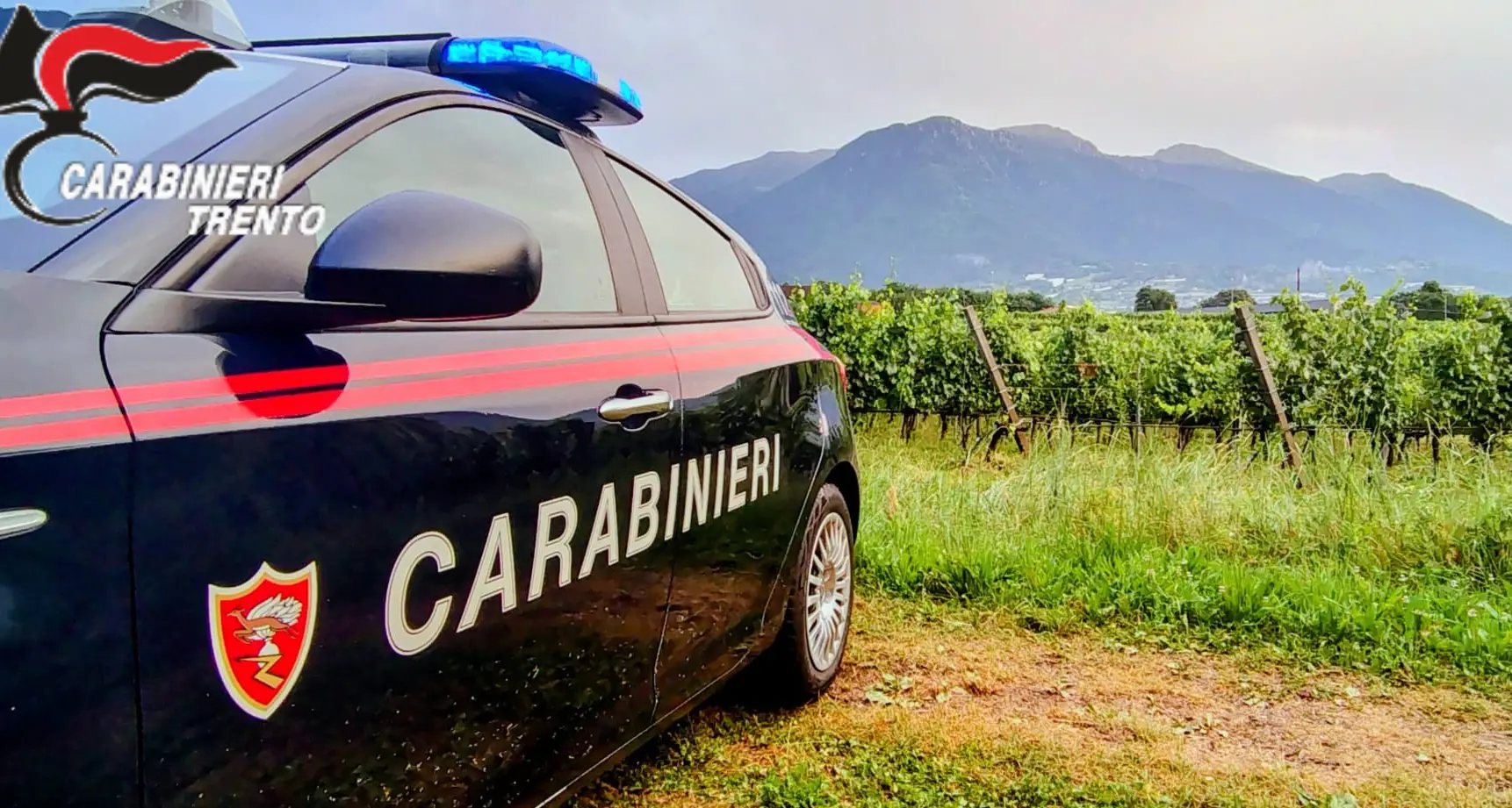 Caporalato in Trentino, i braccianti che denunciarono Suleman: «Aggrediti e poi senza lavoro»