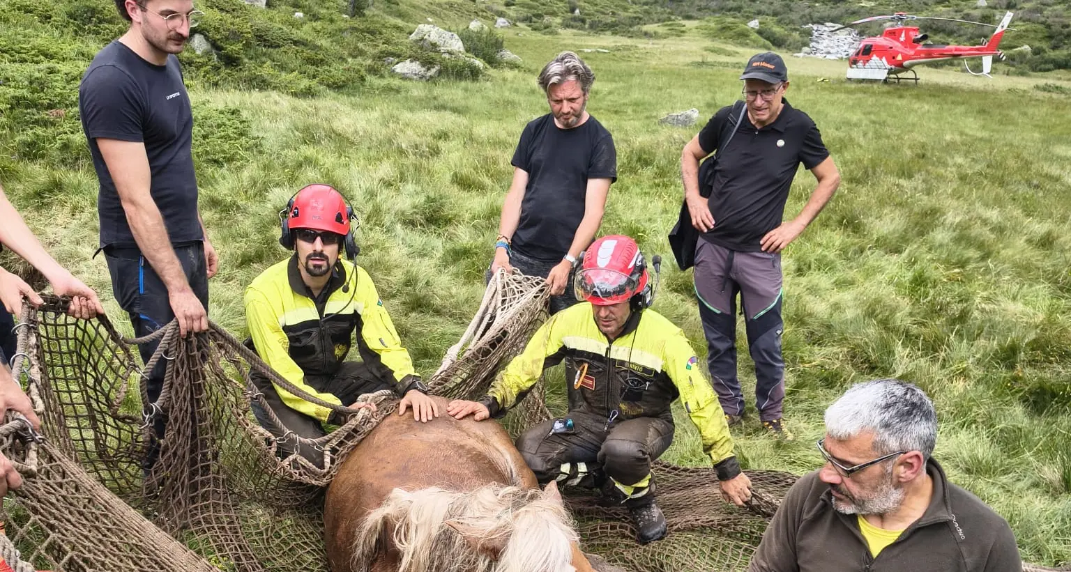 Cavallo cade in un fossato in Val di Fumo, il recupero in elicottero - Foto