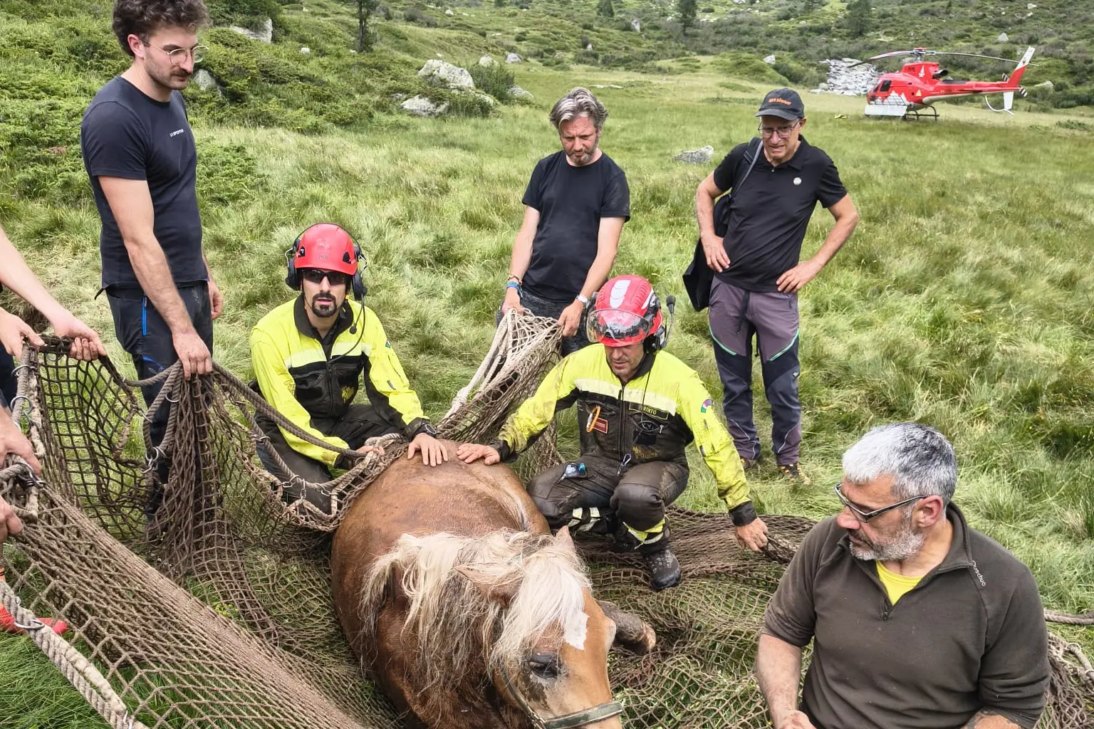 Cavallo cade in un fossato in Val di Fumo, il recupero in elicottero - Foto