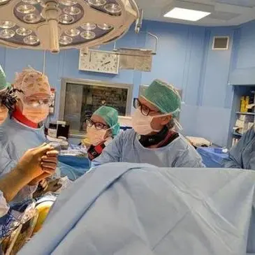 Sanità, Trentino quinto in Italia per qualità delle cure: Veneto al primo posto