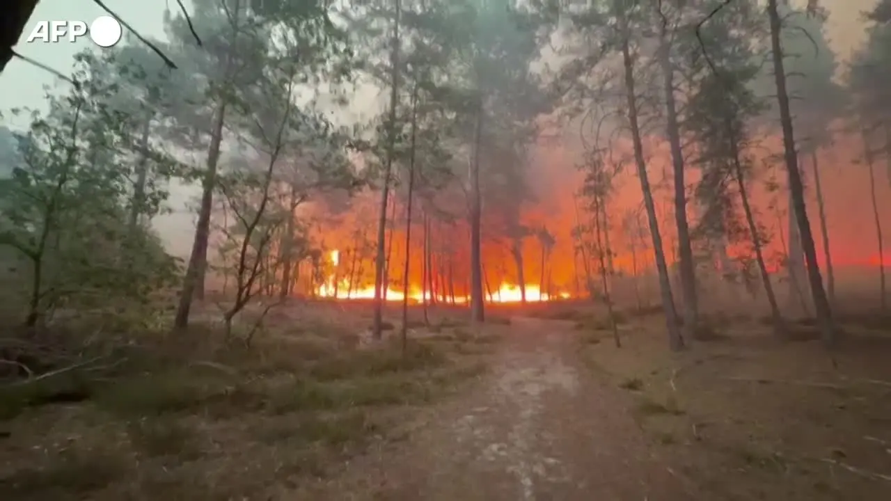 Vasto incendio nella foresta di Fontainebleau vicino Parigi
