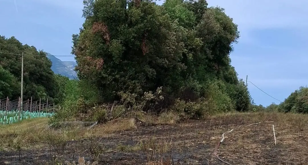 Incendio vicino al Lago di Toblino, in fiamme un ettaro di vegetazione