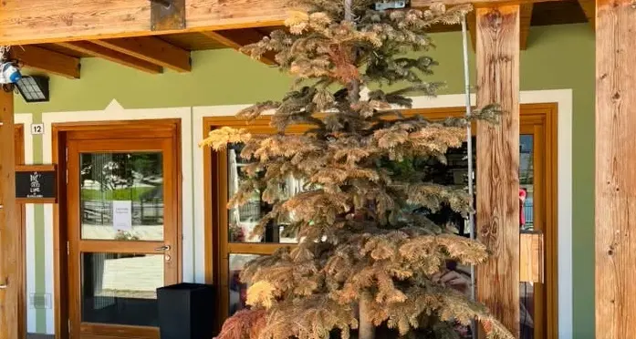 Campiglio, laghetto nel degrado: i turisti protestano, bar ancora chiuso