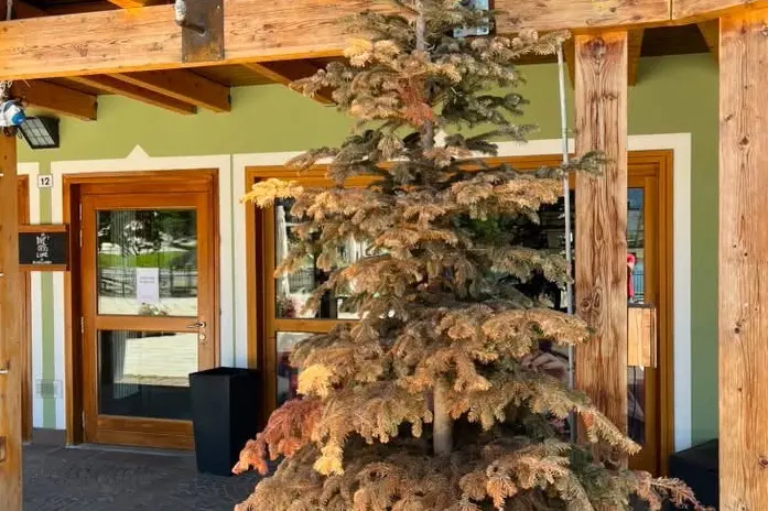 Campiglio, laghetto nel degrado: i turisti protestano, bar ancora chiuso