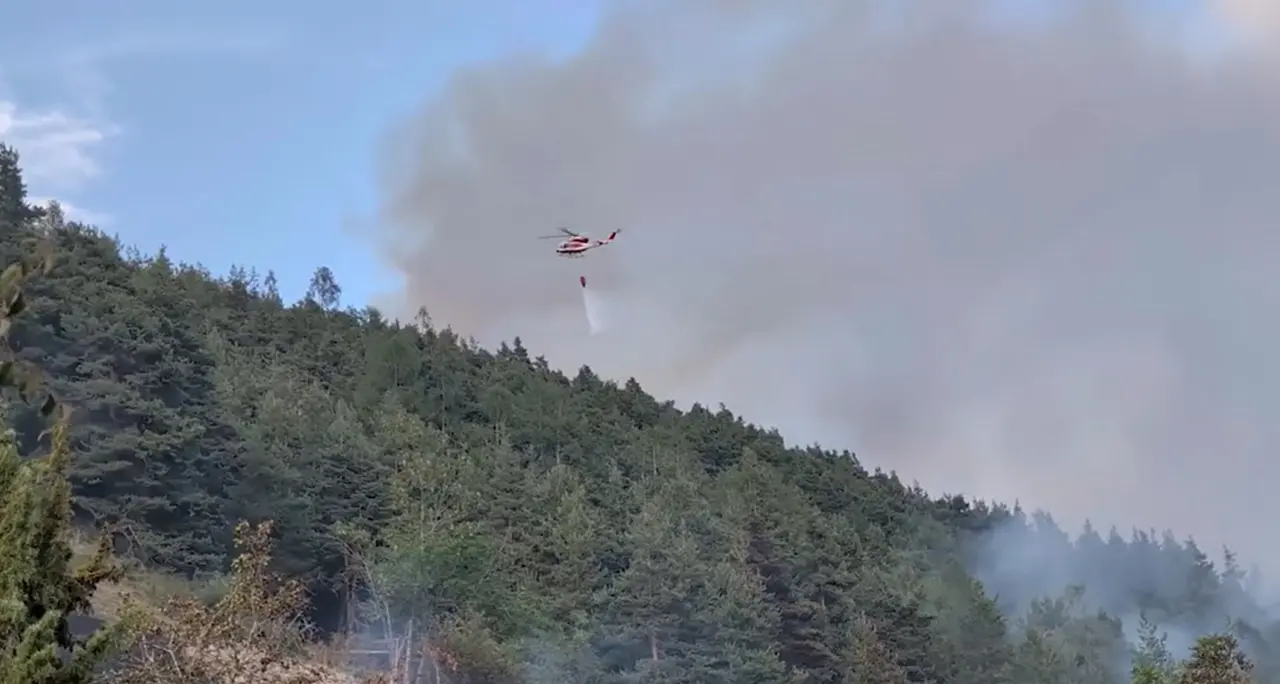 Piemonte, incendio tra Bardonecchia e Oulx: persi 25 ettari di pineta