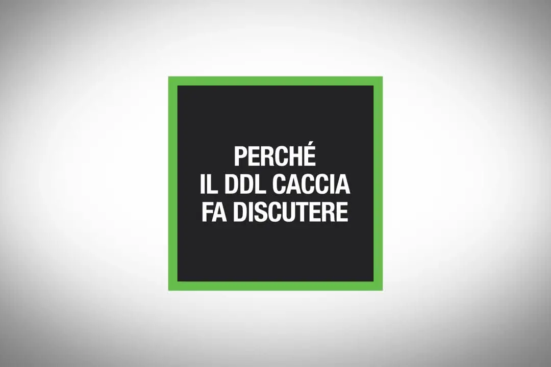 Perché il ddl caccia fa discutere
