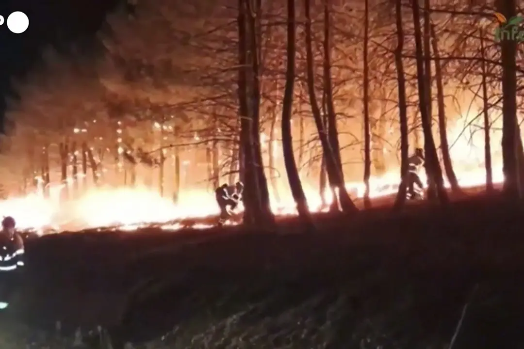 Maxi incendi in Spagna, in azione esercito e vigili del fuoco