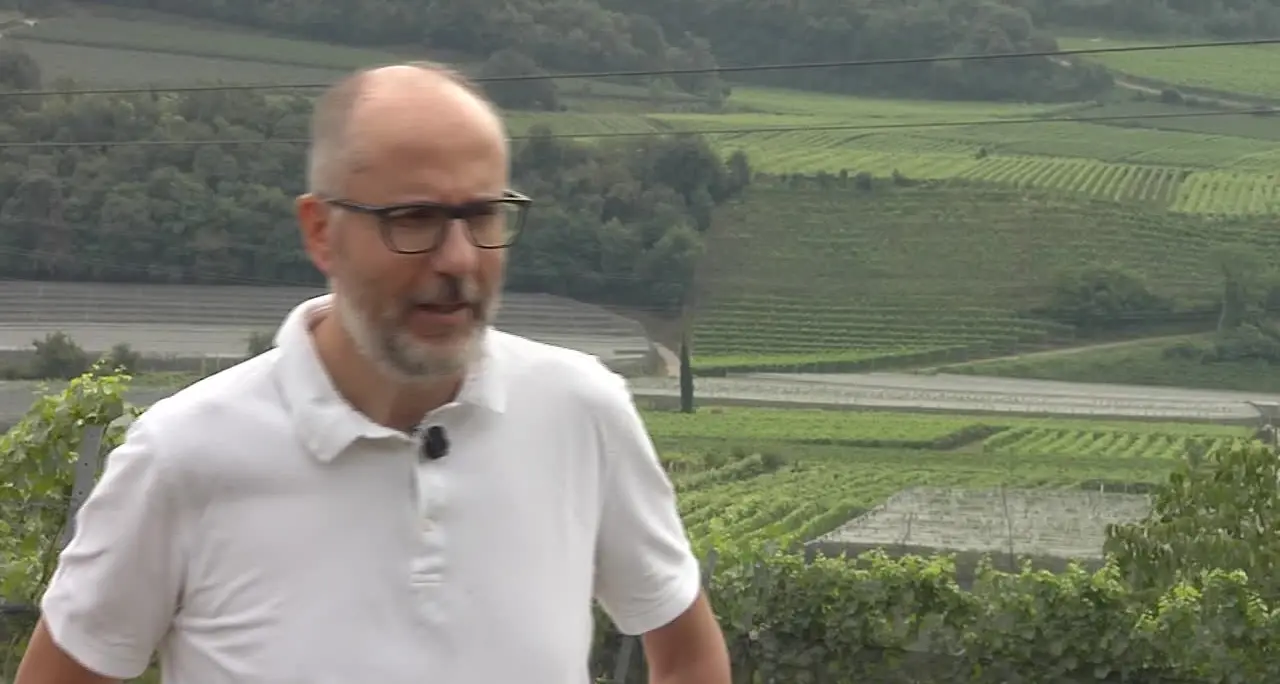 Università Bolzano studia strategie per difendere viticoltura di montagna