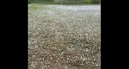 Grandinata nella zona di Riva (Video Zambarda)