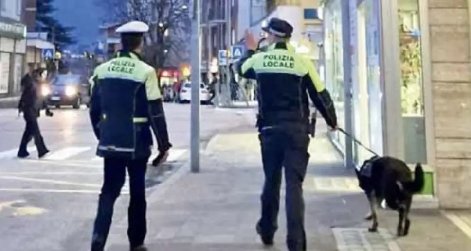Rovereto, la Polizia locale prepara la prima unità cinofila
