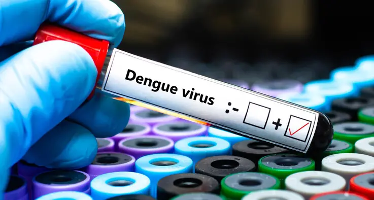 Dengue importata dall'estero, scatta la disinfestazione a Gardolo