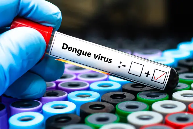 Dengue importata dall'estero, scatta la disinfestazione a Gardolo