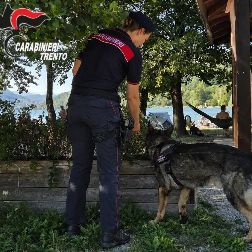 Controlli sulle spiagge dei laghi dell'Alta Valsugana: tre segnalati per droga