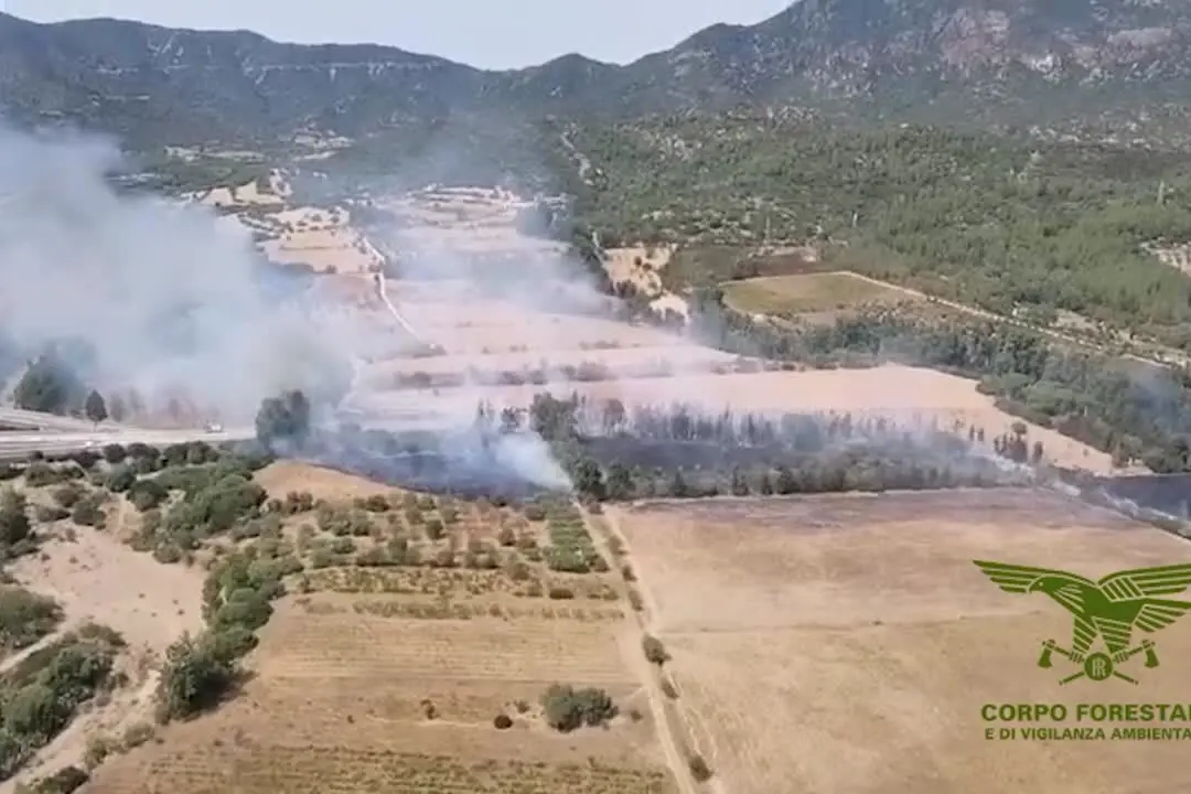 Due Canadair su un incendio nei boschi nel Cagliaritano, evacuazioni