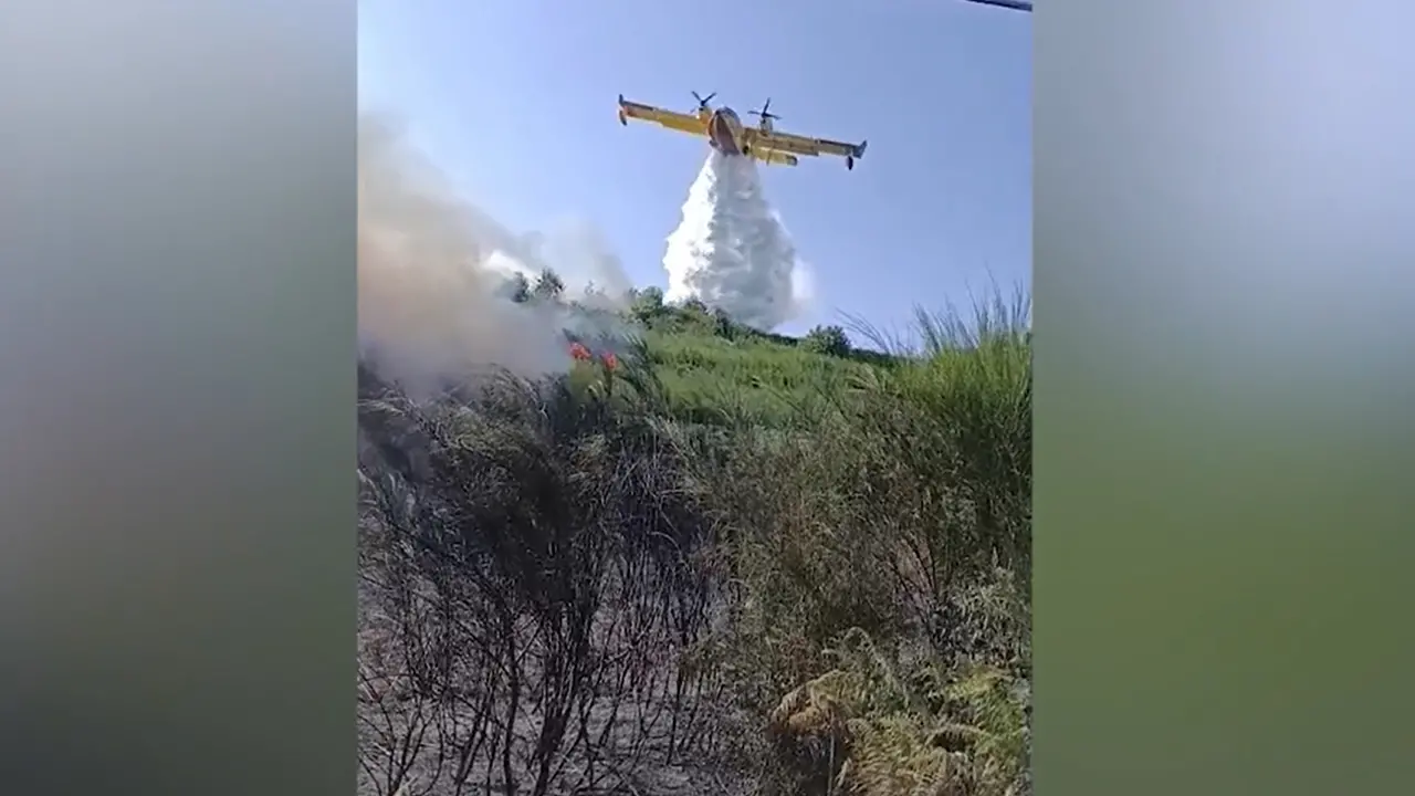 Incendio di vegetazione nel Lametino, Canadair in azione