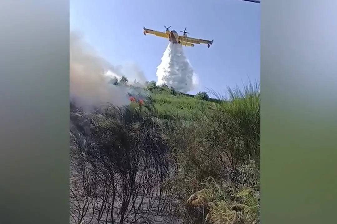 Incendio di vegetazione nel Lametino, Canadair in azione