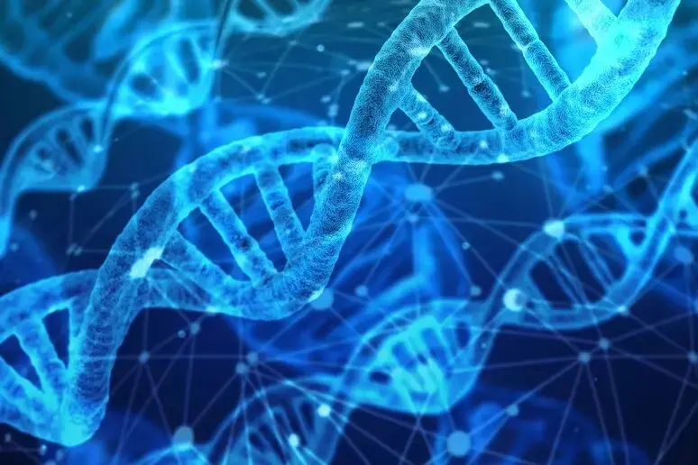 L’evoluzione dei tumori è influenzata dal patrimonio genetico