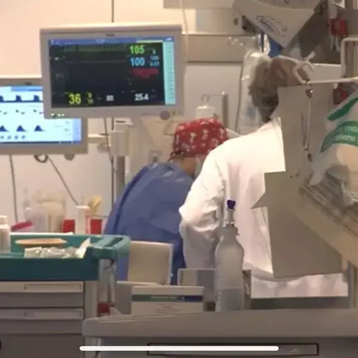 La scomparsa di Mattia, Urzì: «Più informazione sul latte crudo»