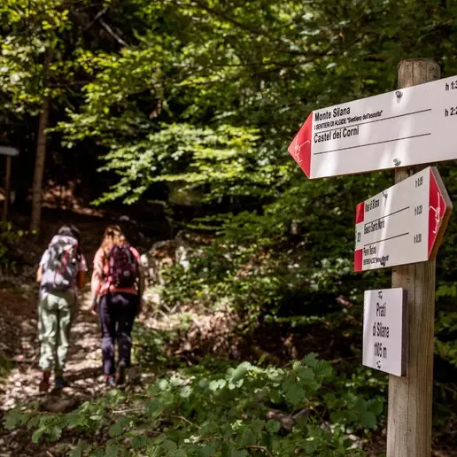 Le sezioni Sat della Val di Fassa: “Rispetto per il lavoro dei volontari”