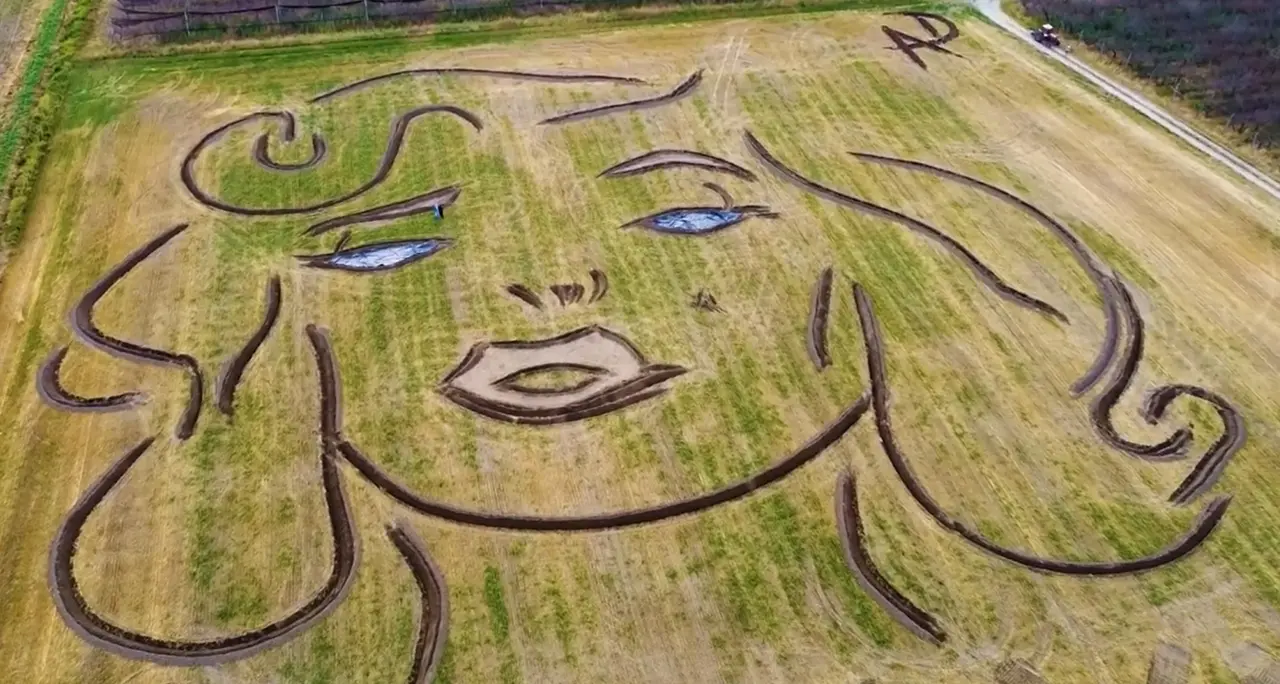Land art su un campo nel Veronese con il volto di Marilyn Monroe