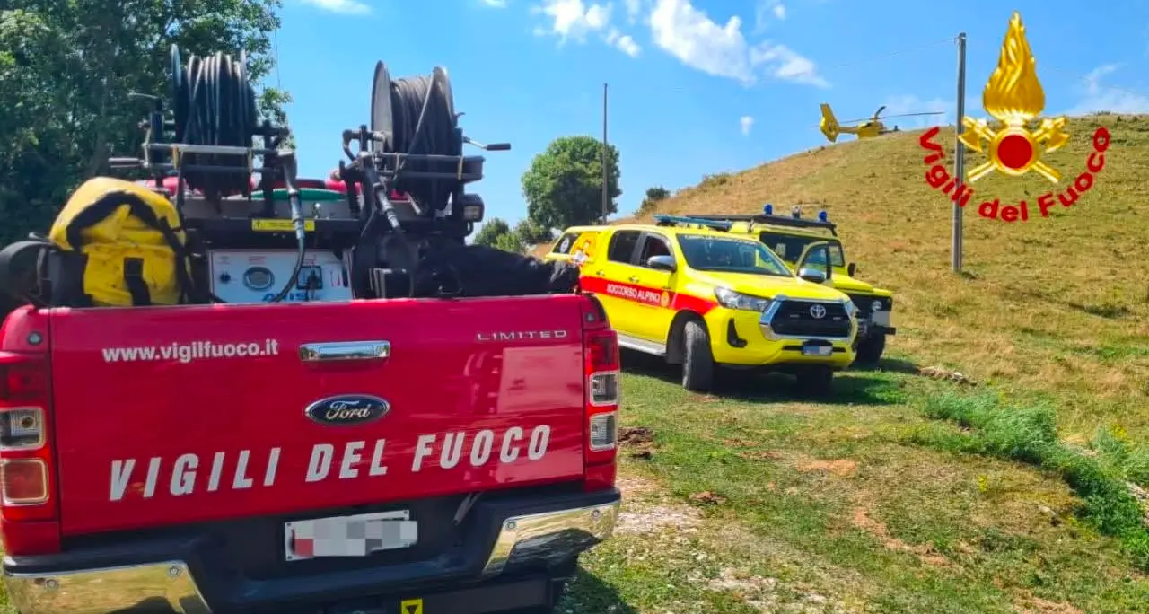 Precipita con il cavallo in un dirupo: muoiono entrambi a Malga Cimo