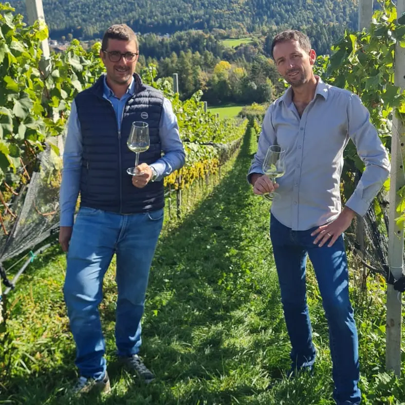 Chardonnay a 1.000 metri, la scommessa di due produttori della Val di Non