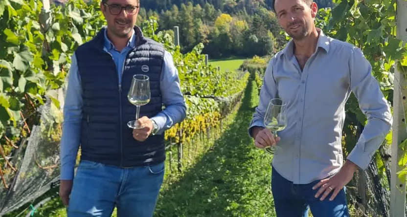 Chardonnay a 1.000 metri, la scommessa di due produttori della Val di Non