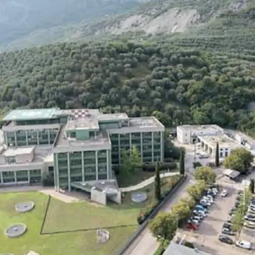 Arco, bando di nove anni per gestire trecento olivi