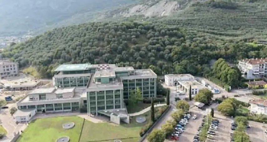 Arco, bando di nove anni per gestire trecento olivi