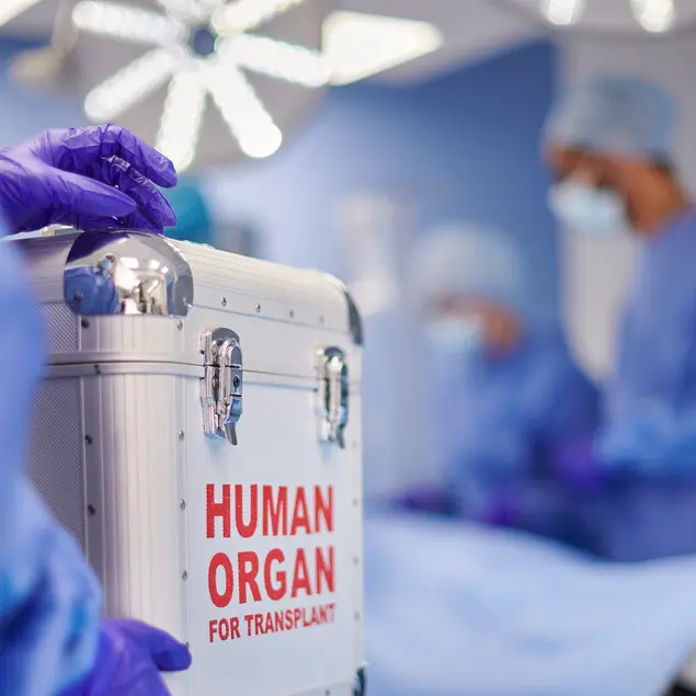 Trapianti, il Trentino tra i più generosi d'Italia: il \"no\" alla donazione è il più raro del Paese