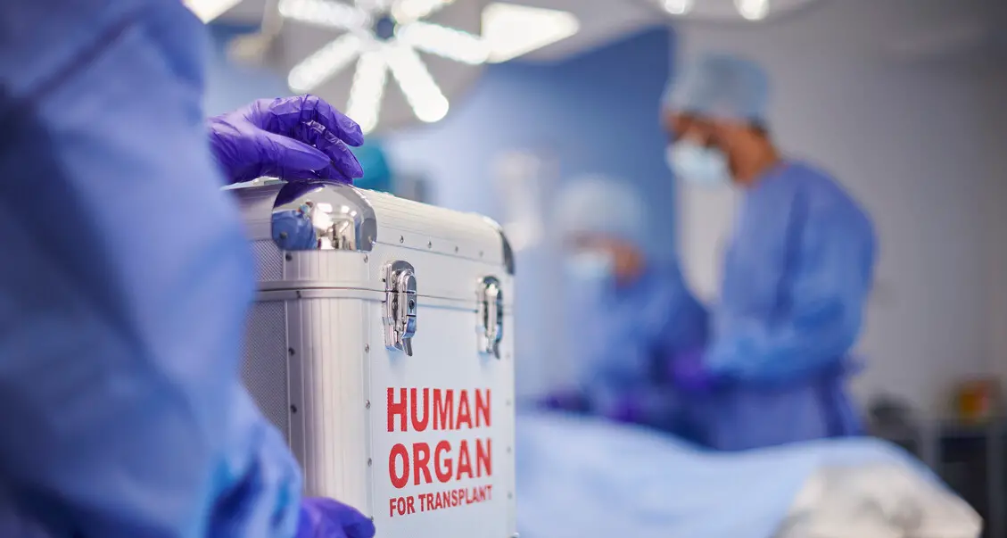 Trapianti, il Trentino tra i più generosi d'Italia: il \"no\" alla donazione è il più raro del Paese